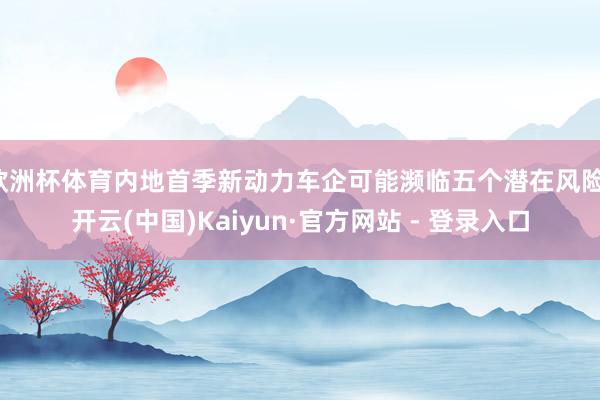 欧洲杯体育内地首季新动力车企可能濒临五个潜在风险-开云(中国)Kaiyun·官方网站 - 登录入口